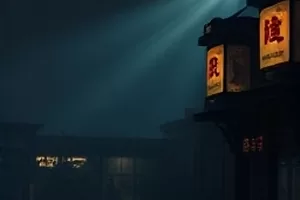 《玻璃温室》逆光下的蕨类植物叶片